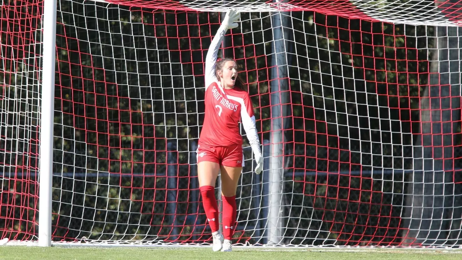WSOC | Taylor Poland 09-05