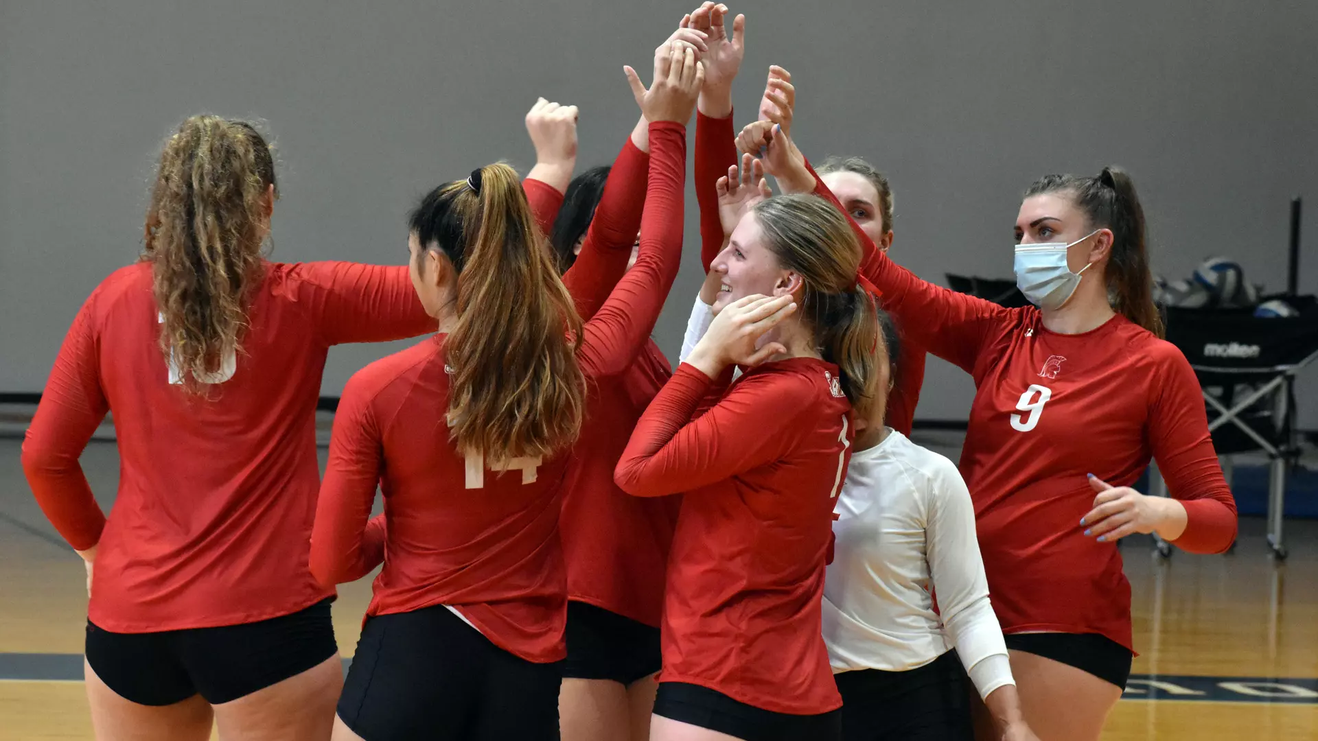 VB Team