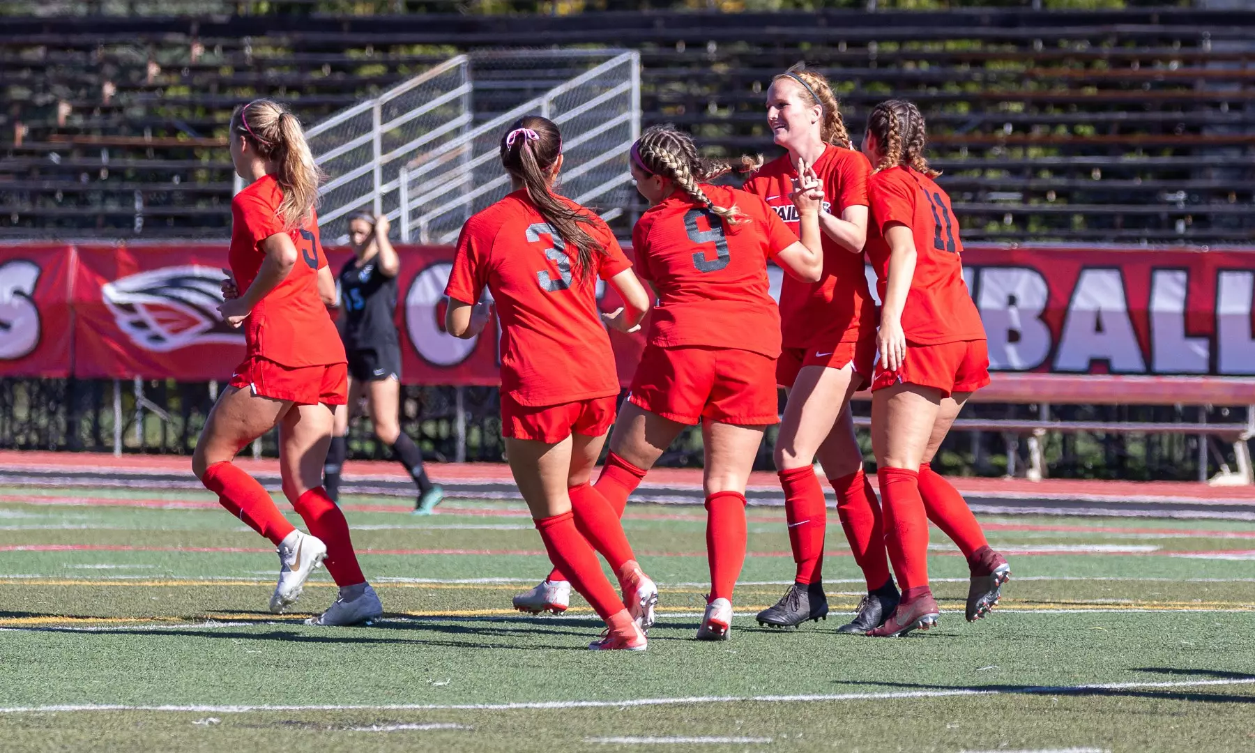 celebration volpatti