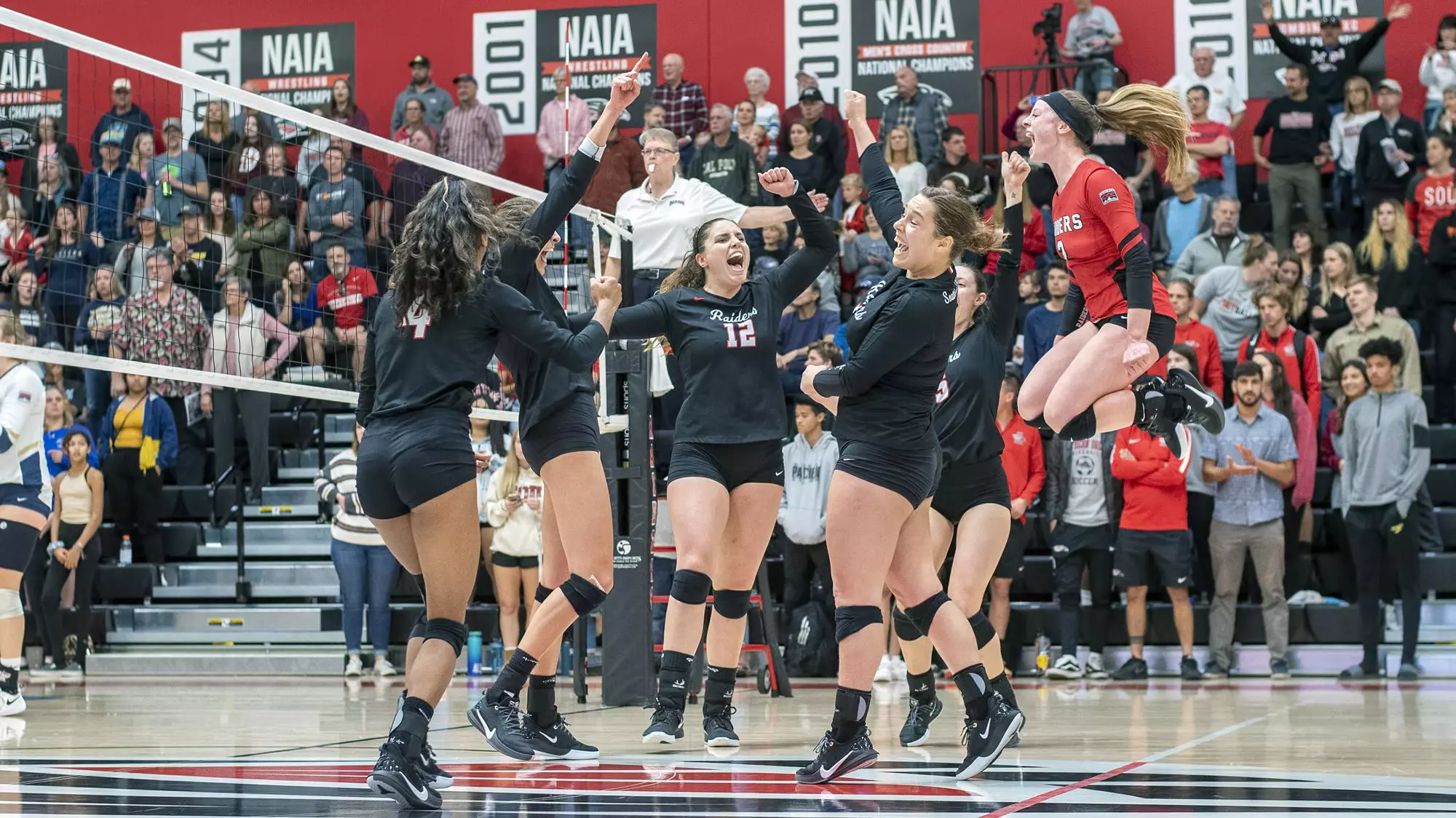 championship celebration vb