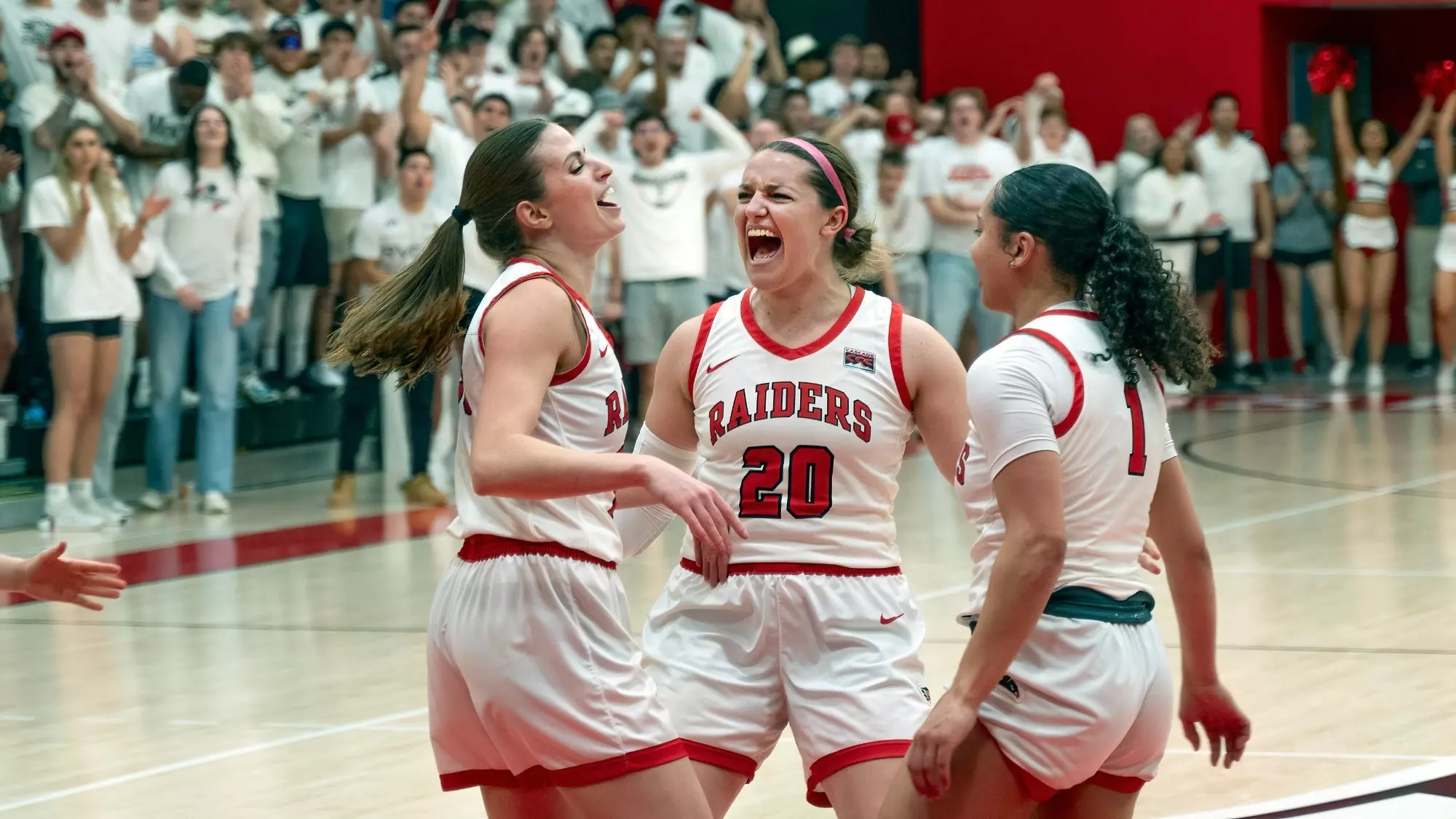 robbins walk mcintyre