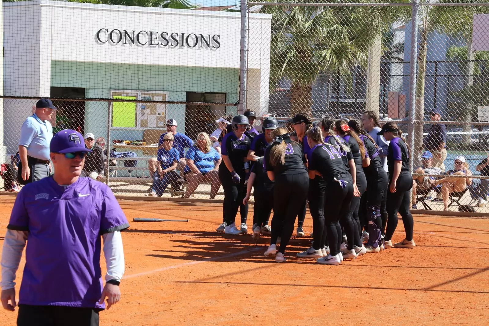 SoftballCelebration
