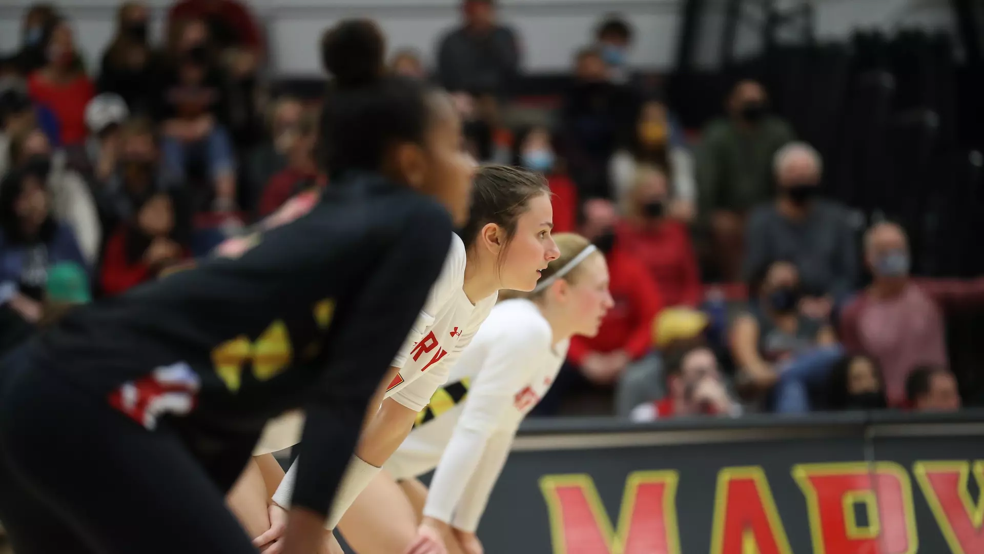 Volleyball