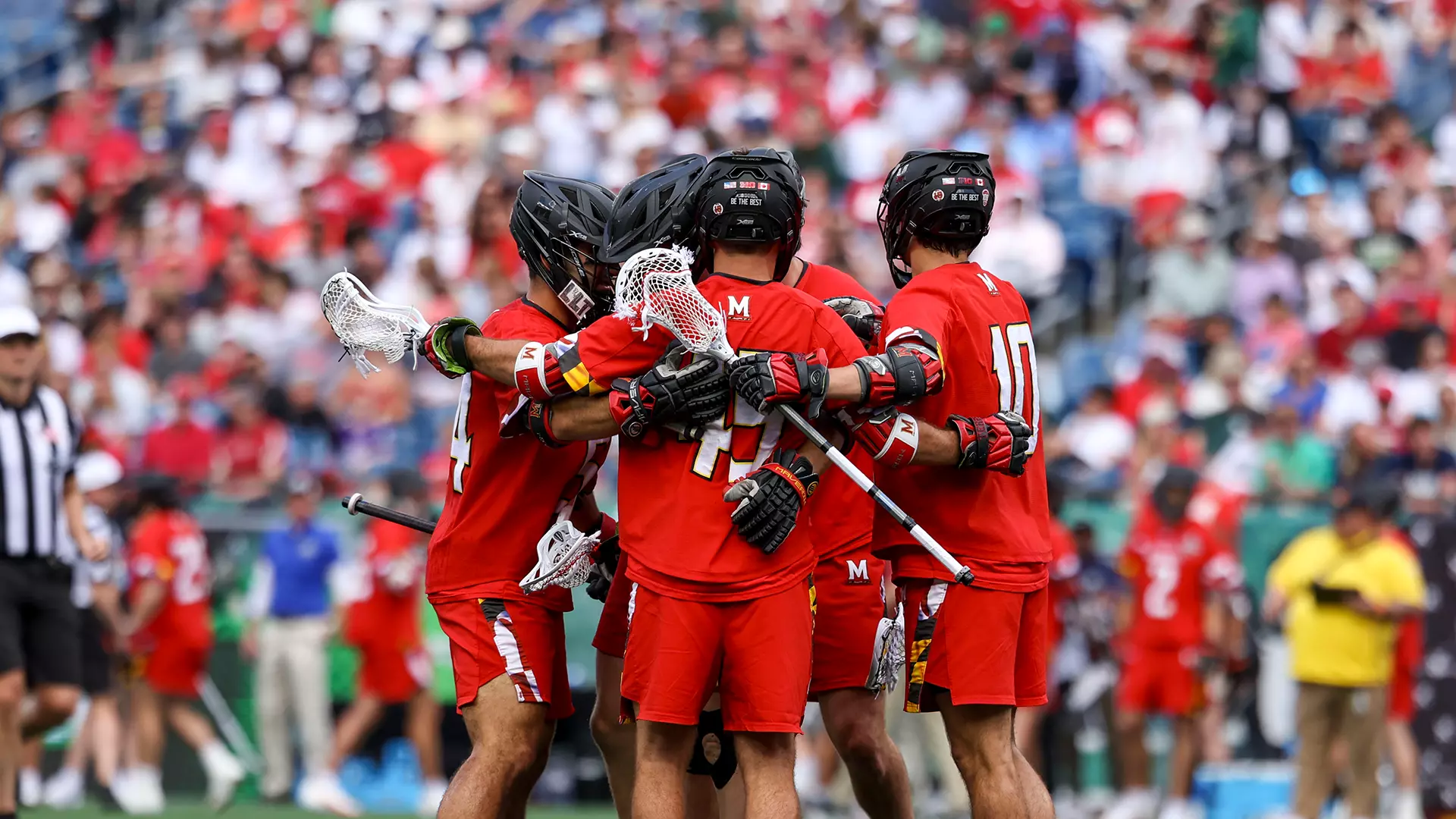Natty Huddle 