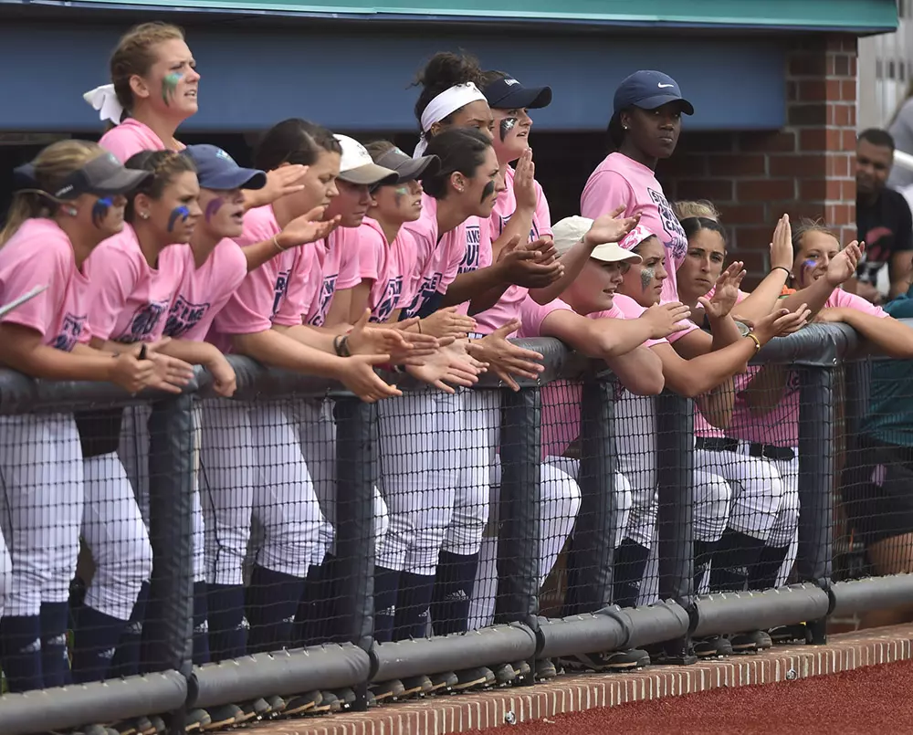 Dugout 2017 Action vs Hofstra