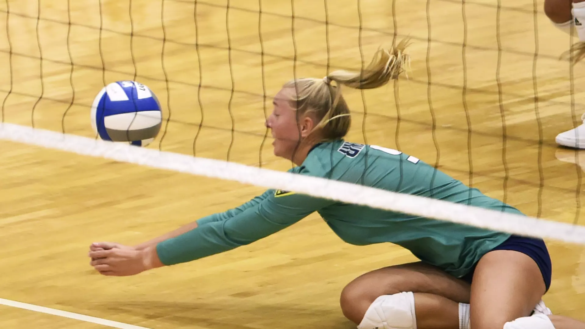 Volleyball Vs. Northeastern