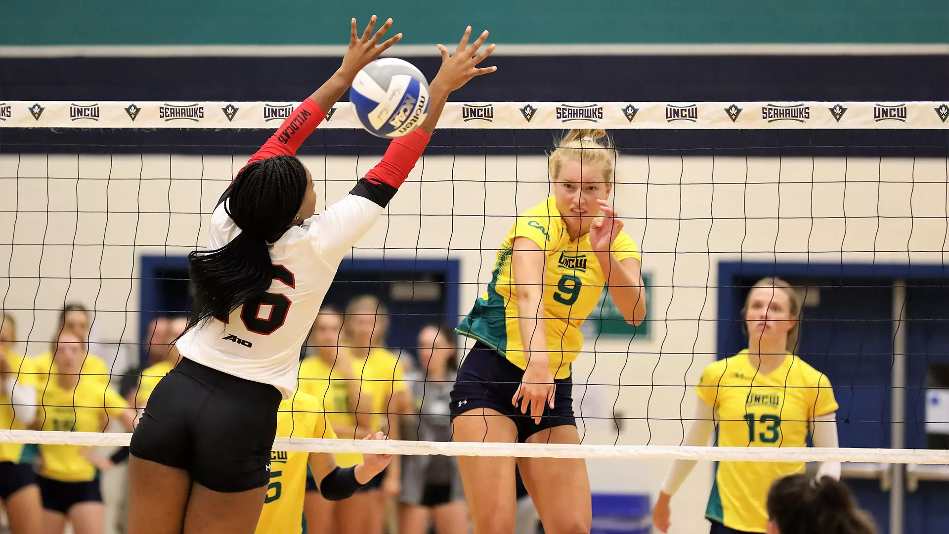 Volleyball Vs. Davidson