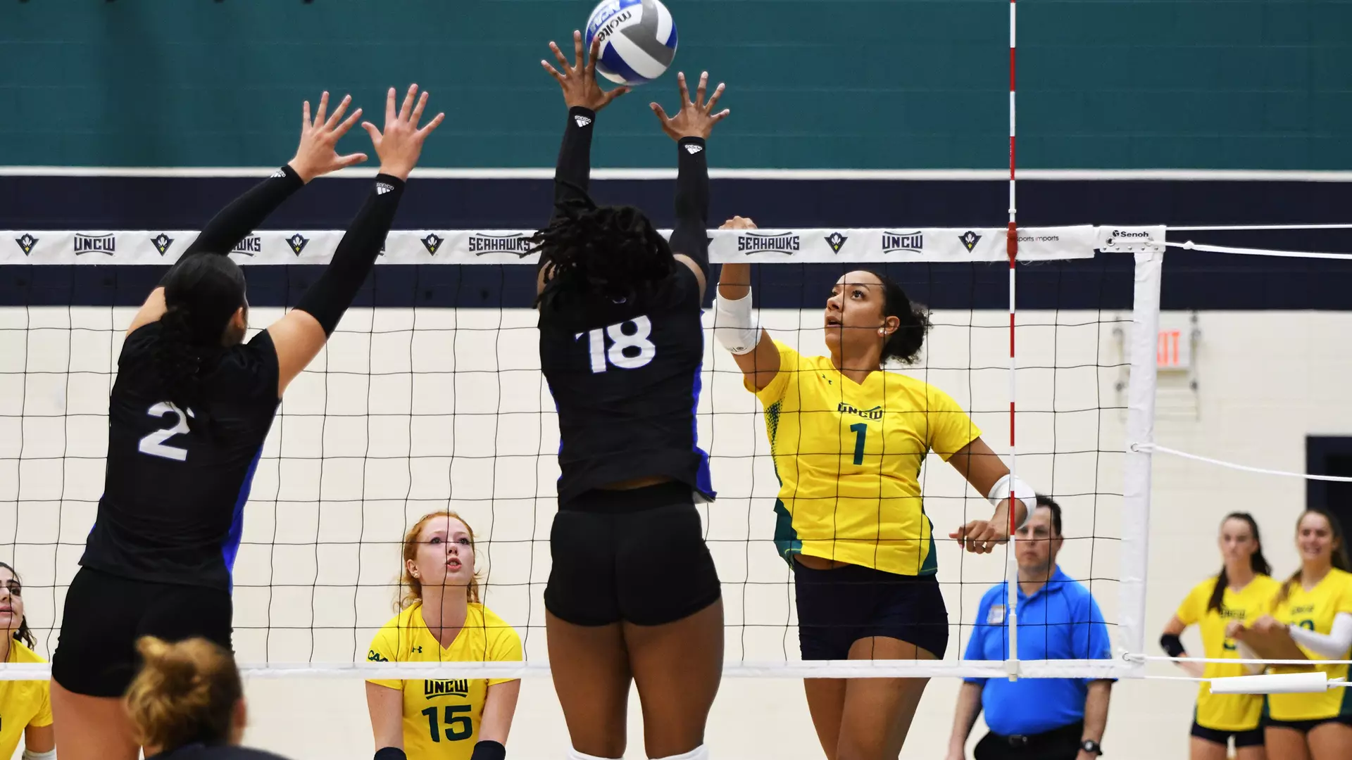 Volleyball Vs. Presbyterian