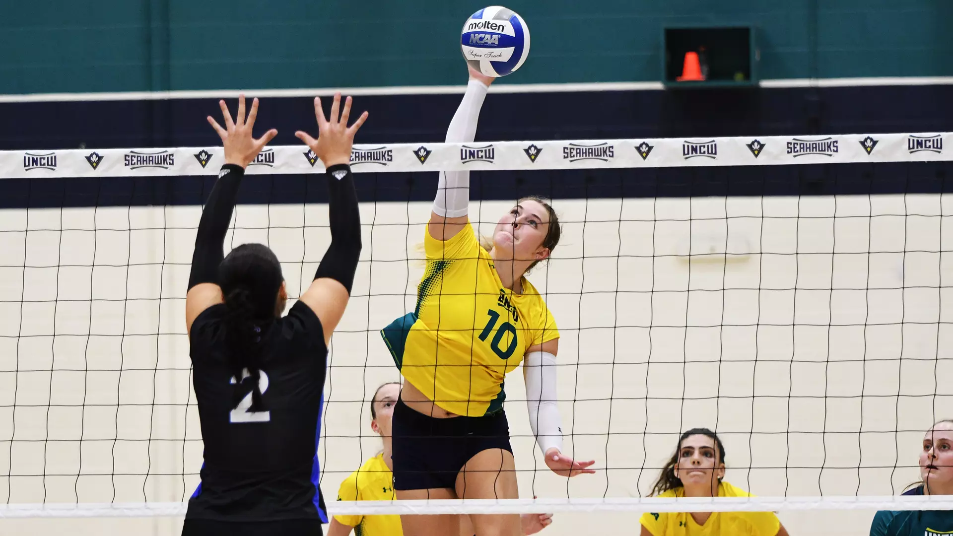 Volleyball Vs. Presbyterian