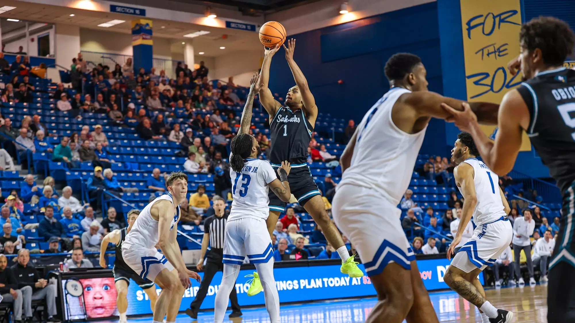 Donovan Newby at Delaware