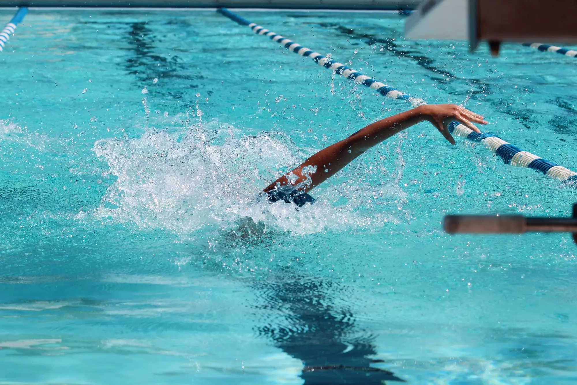 swimmer