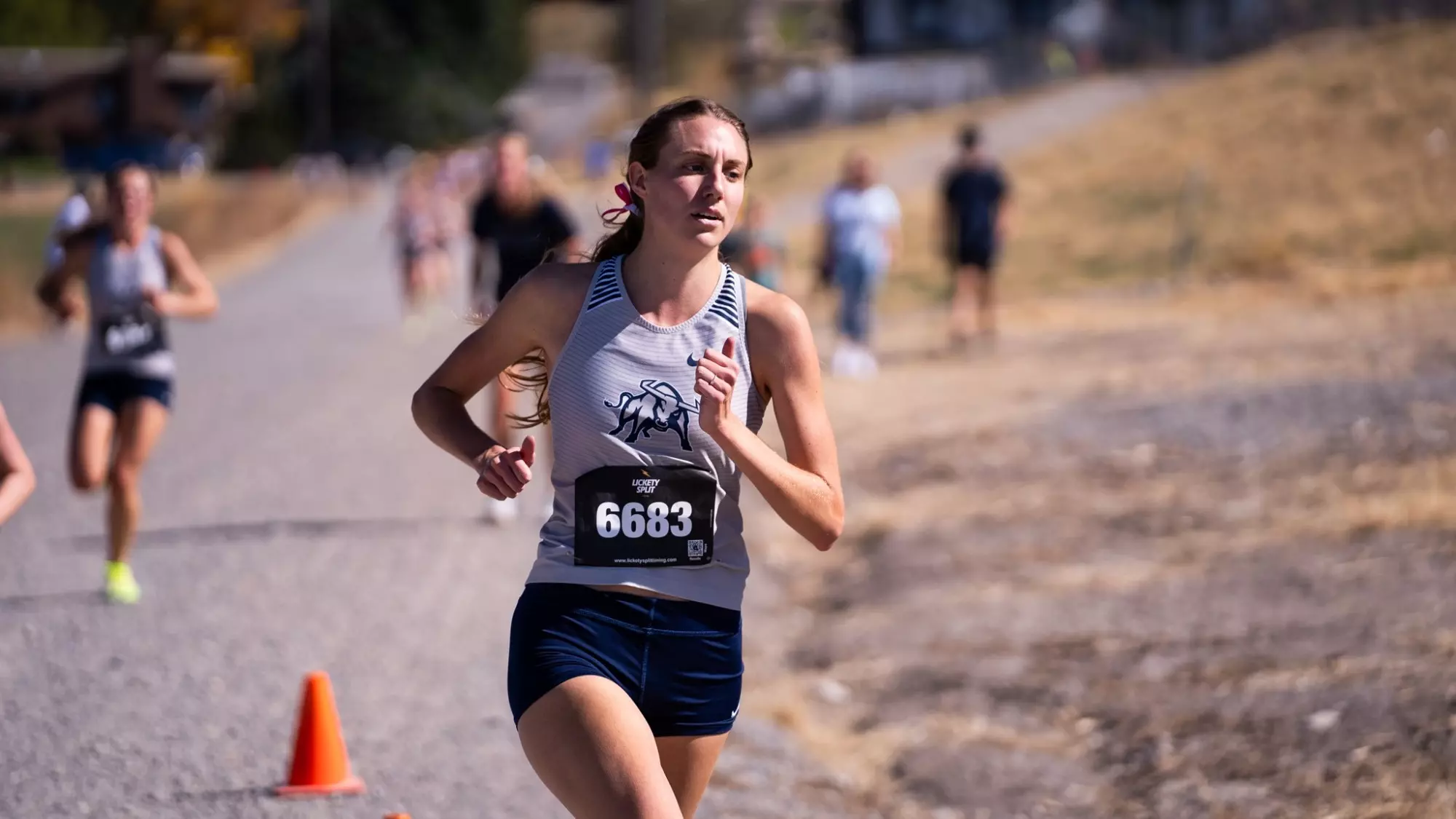 Utah State Cross Country Splits Squad for Wisconsin, Princeton Meets