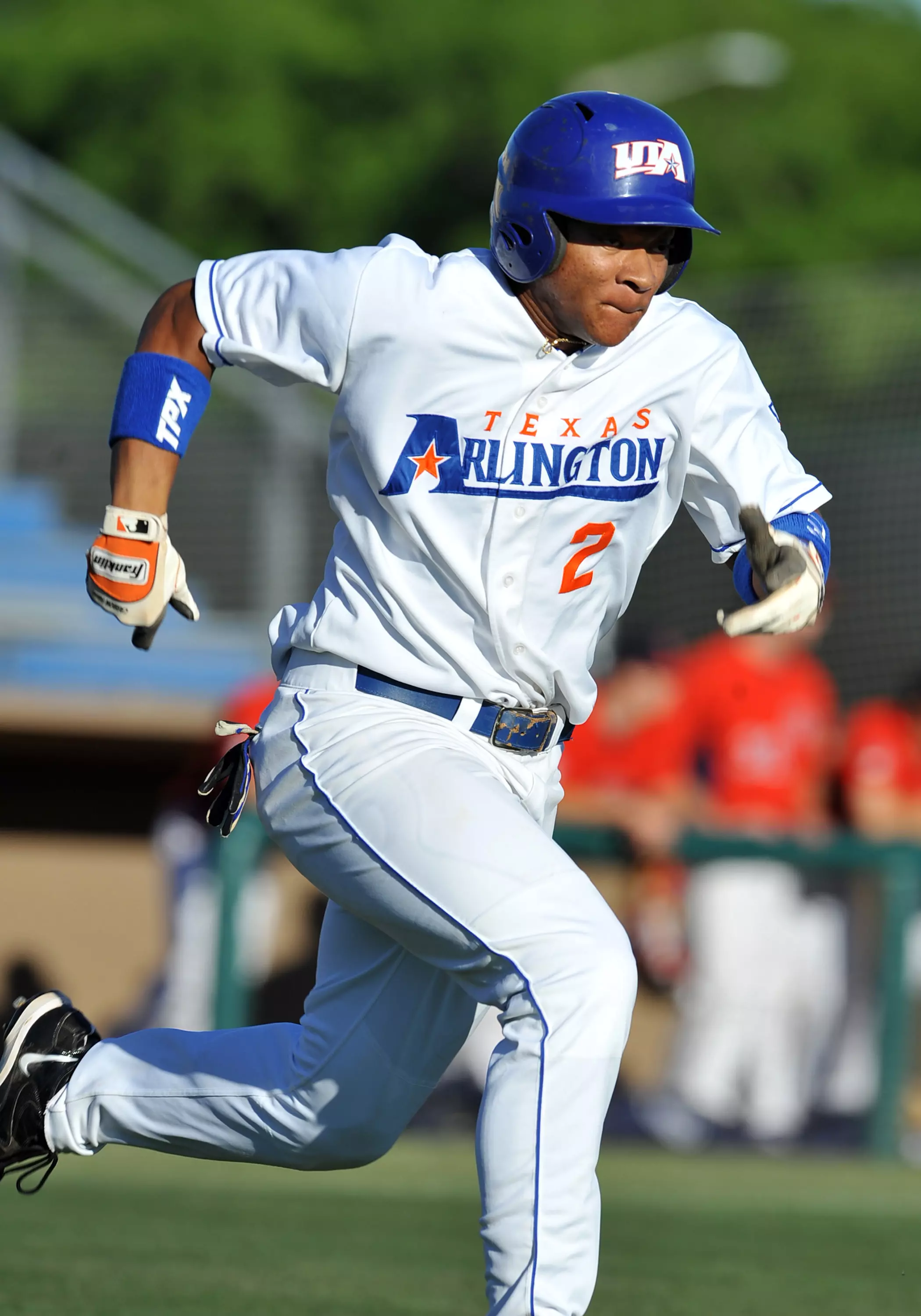 Michael Choice batted .383 with 16 home runs and 59 RBI this season