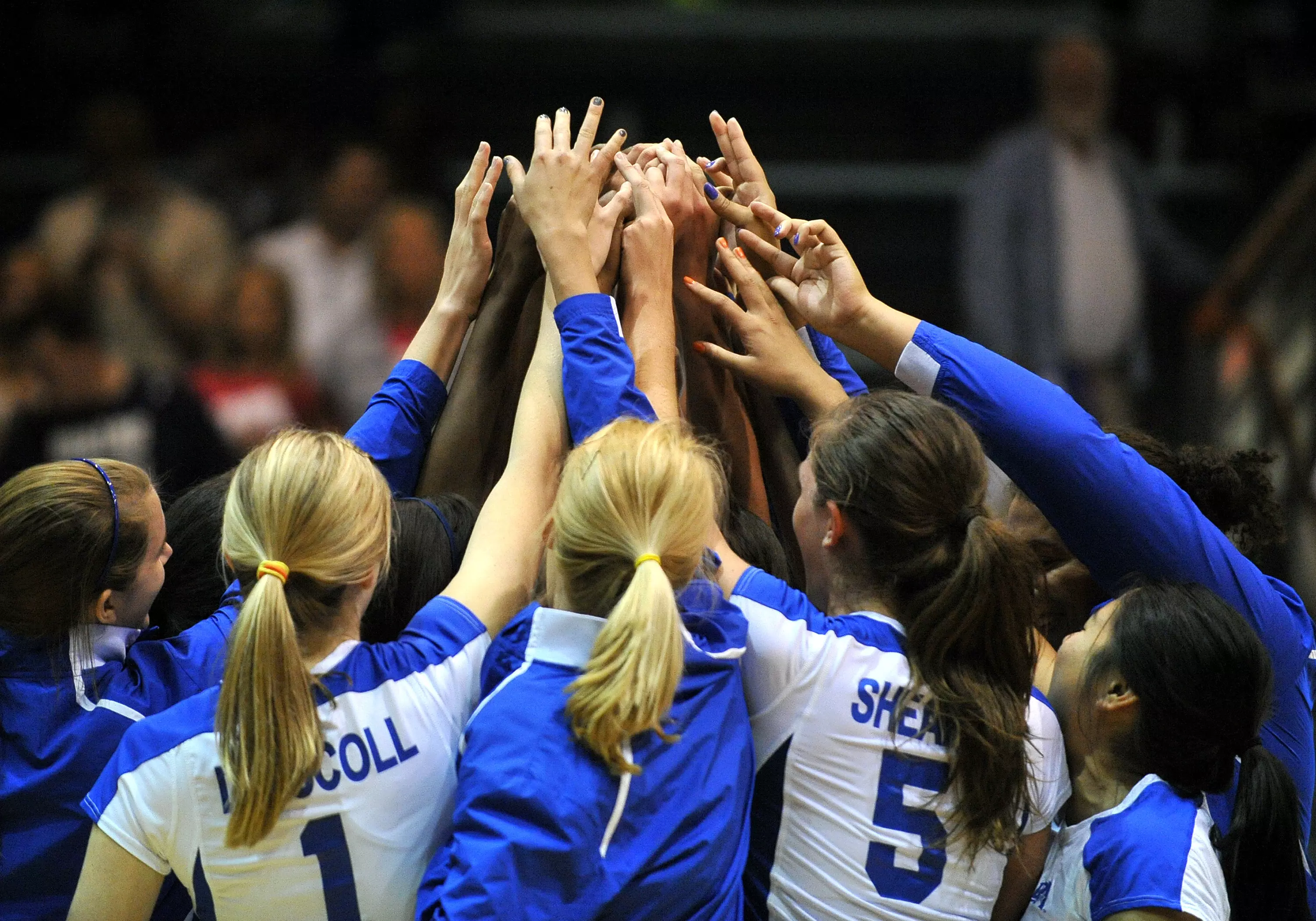 The Mavericks competed in the South regional, defeating North Carolina (3-1), and sweeping LSU (3-0) and Texas (3-0) to advance.