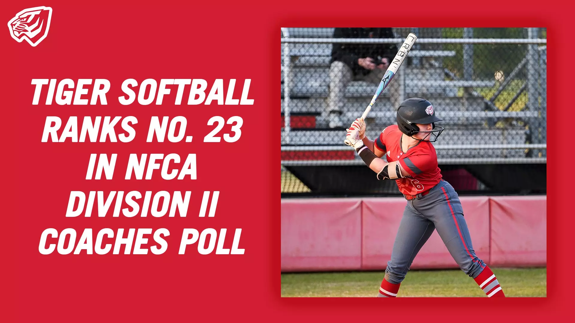 Tiger Softball