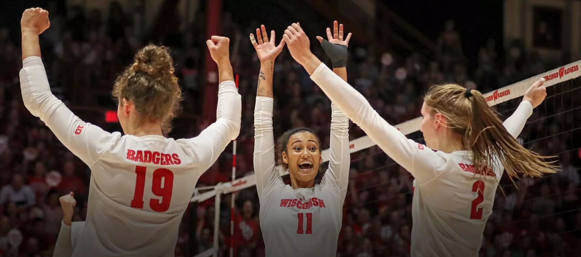 Volleyball celebrating 