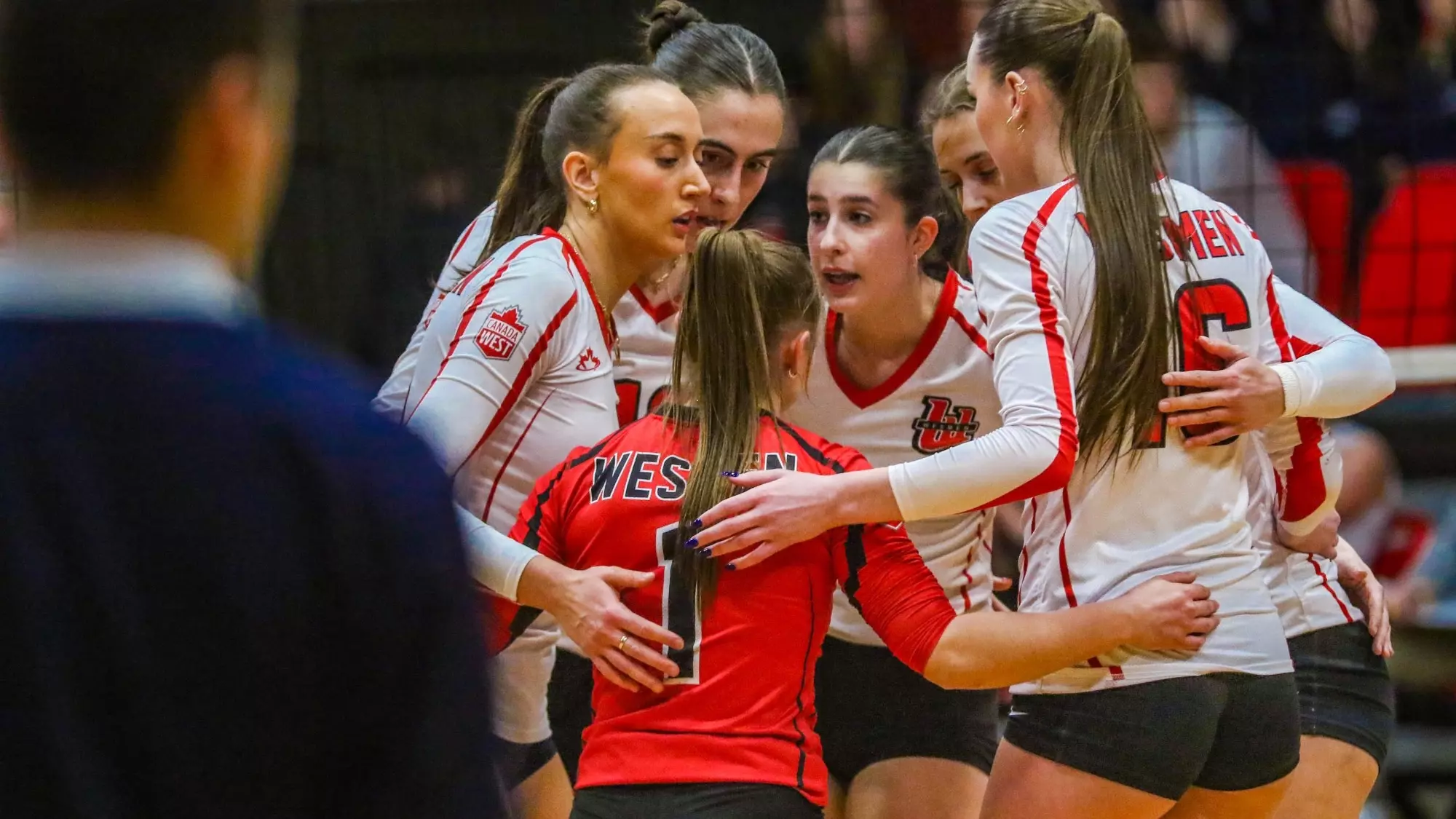wvb vs manitoba jan 30 2025