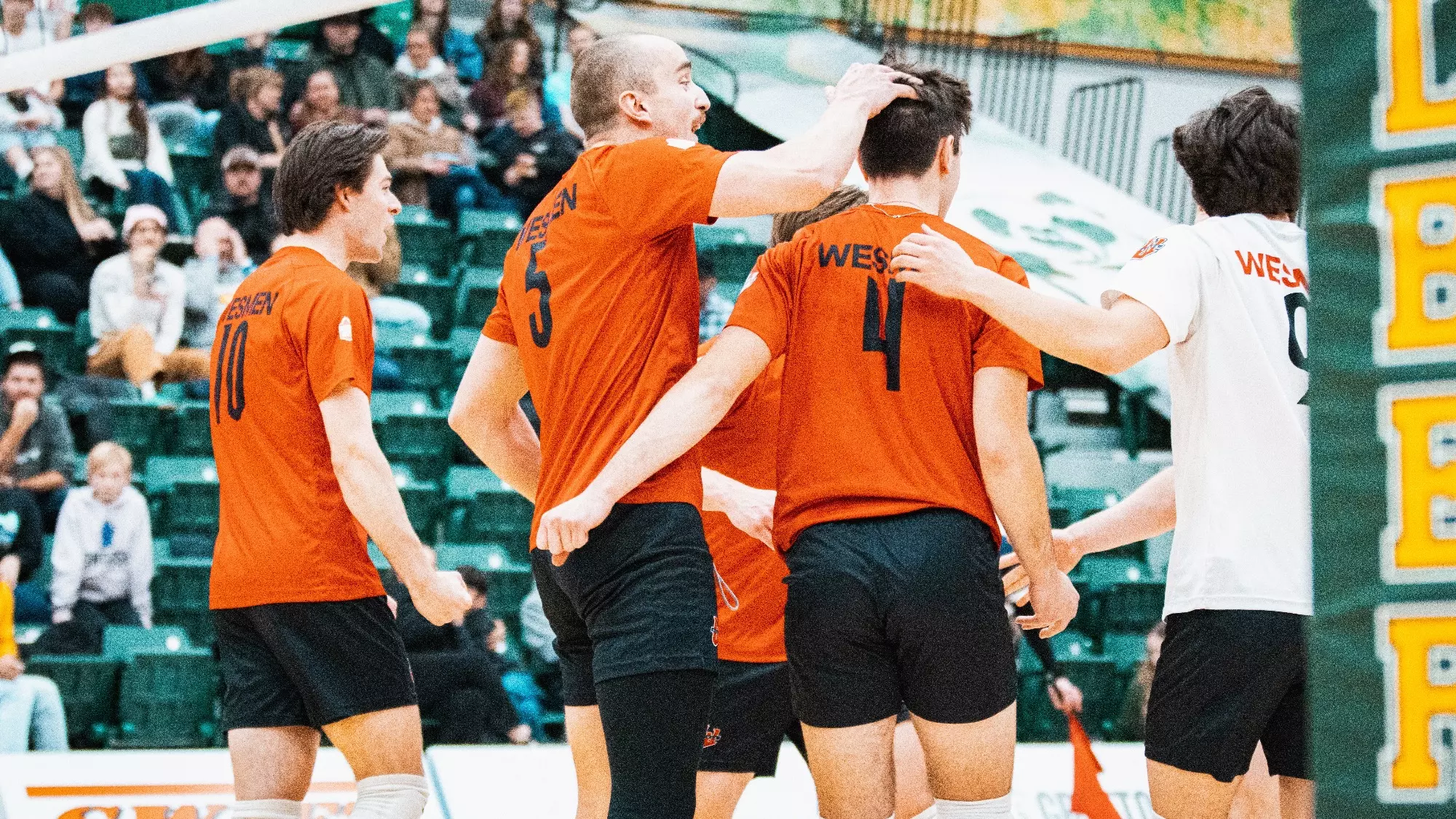 men's volleyball at alberta jan 24 2026