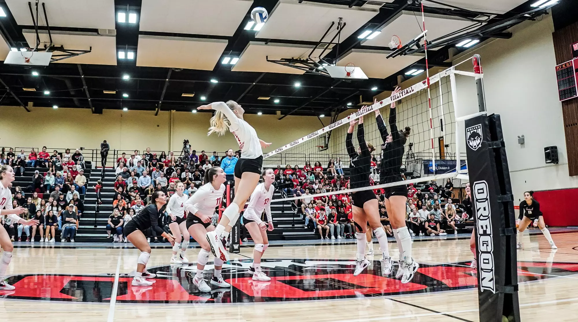 Bailee Hartsook - Volleyball - Western Oregon University Athletics