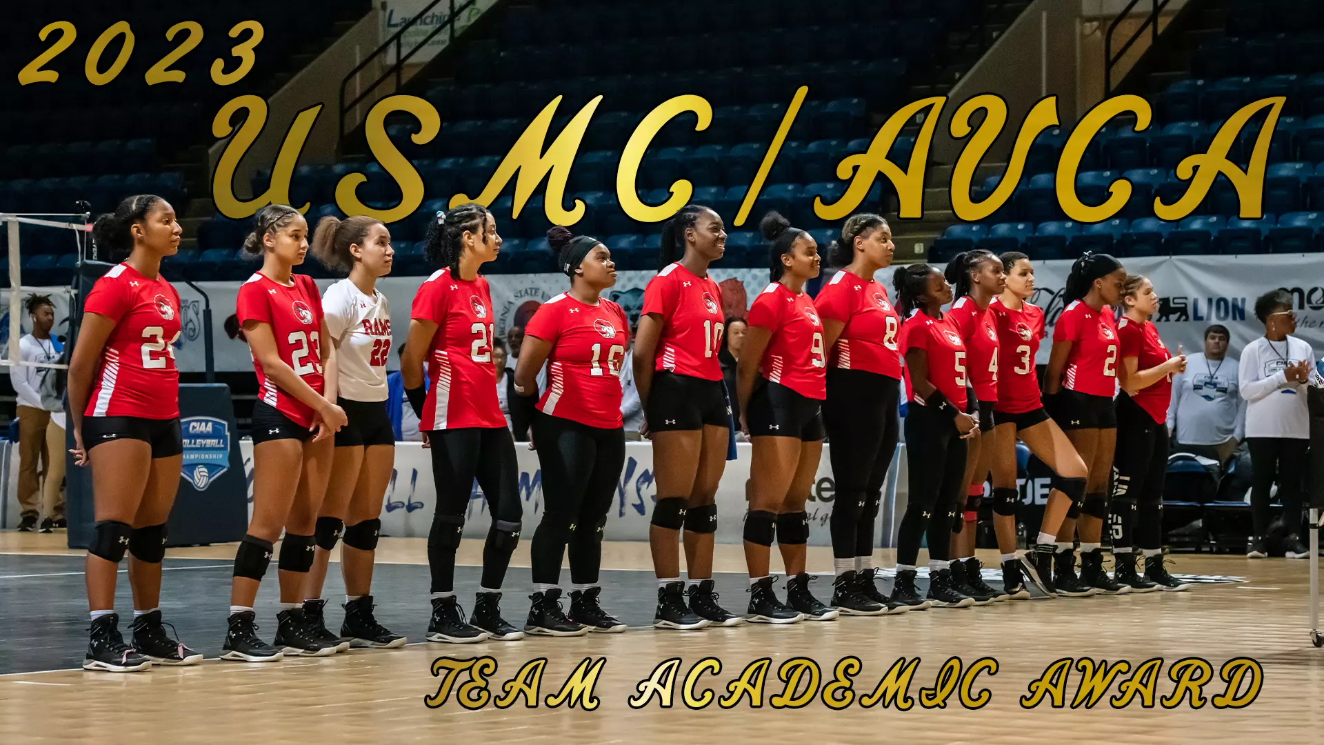 Volleyball team award