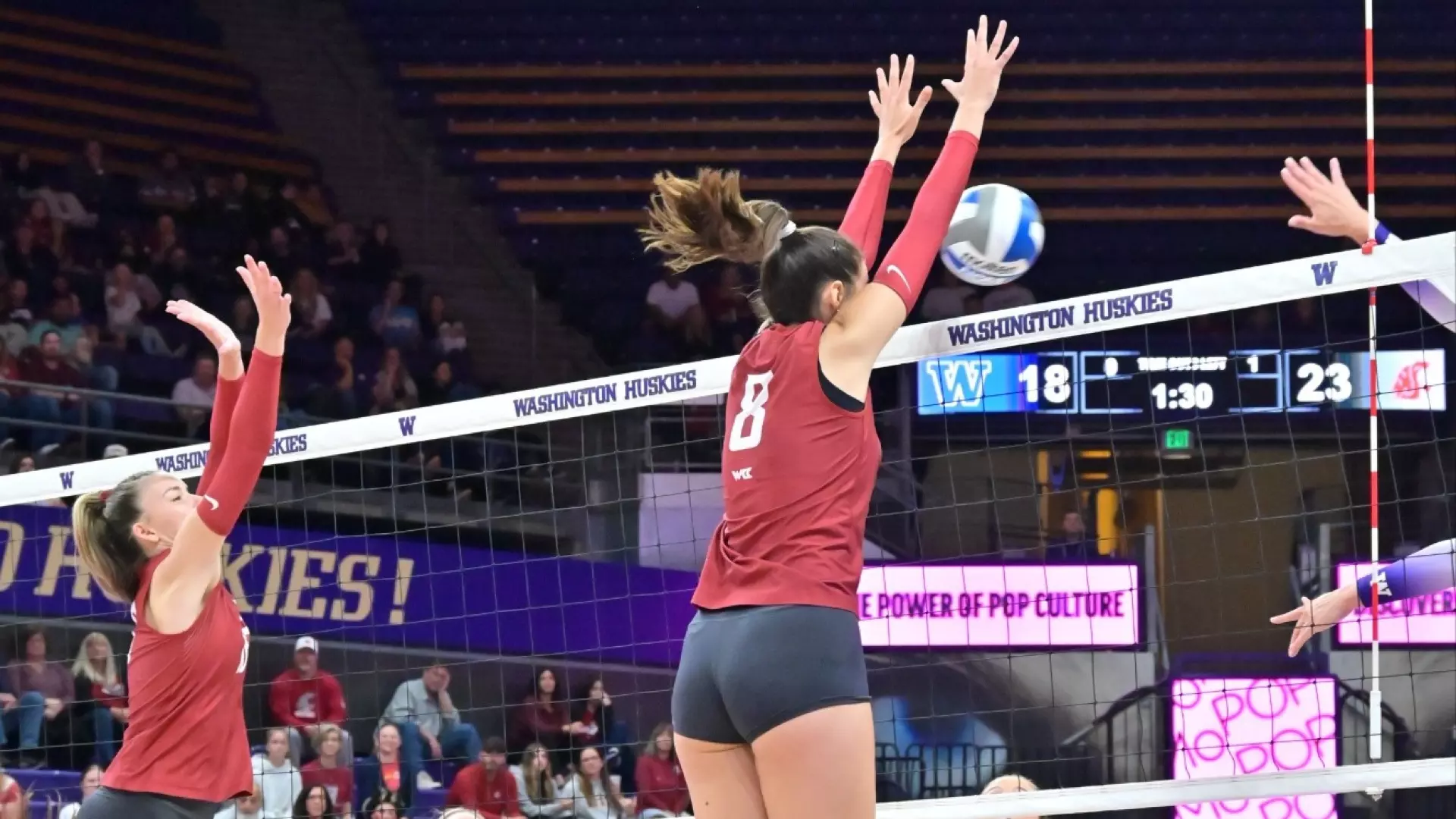 Volleyball Drops Apple Cup, 31 Washington State University Athletics