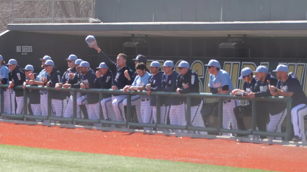 baseball team