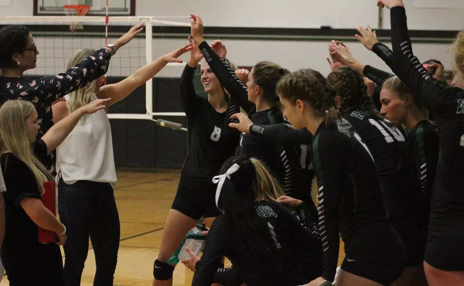 VB Team