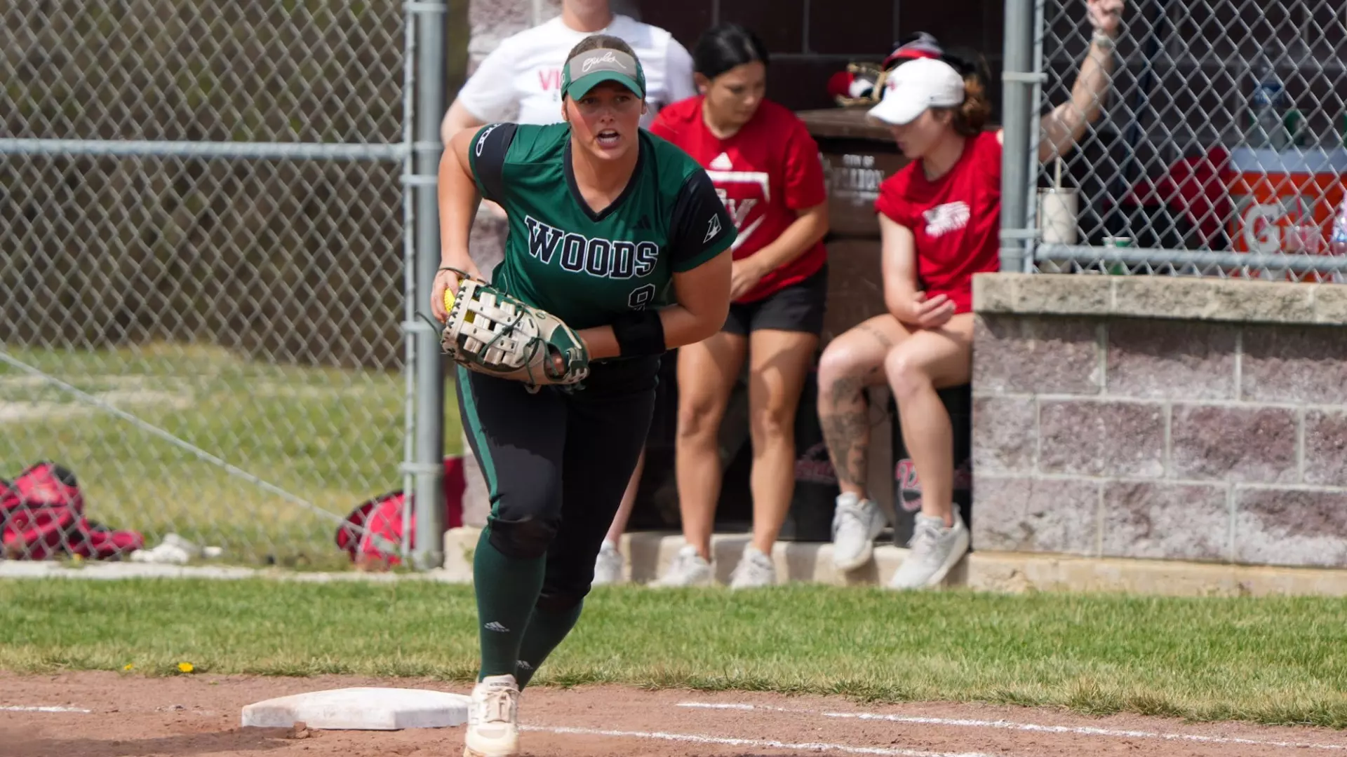 Owls Split with Graceland