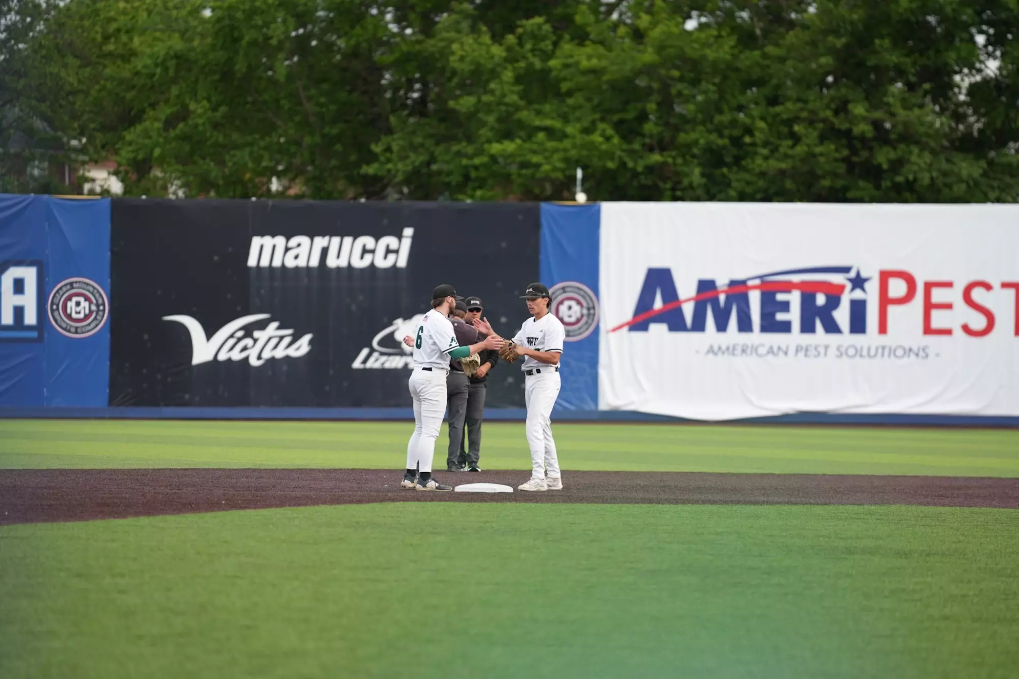 Owls stay hot in the tournament