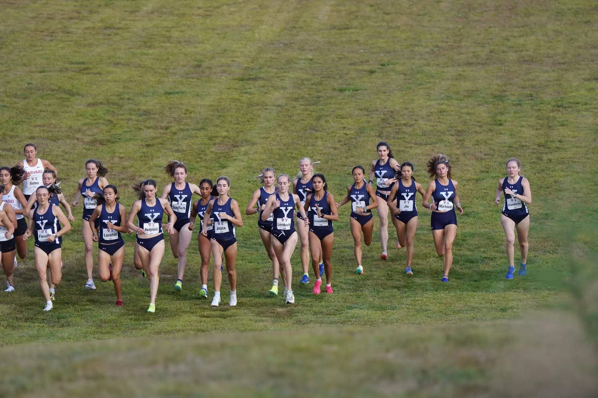 Bulldogs Set to Compete in Paul Short Run Yale University