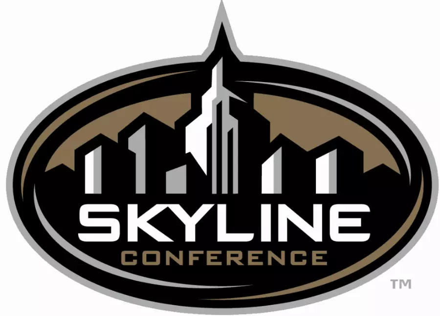 Skyline Logo