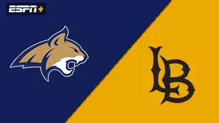 Montana State  
