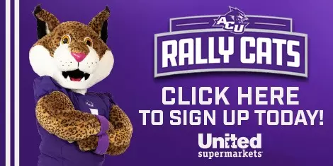 Rally Cats 470x235 - no experiences