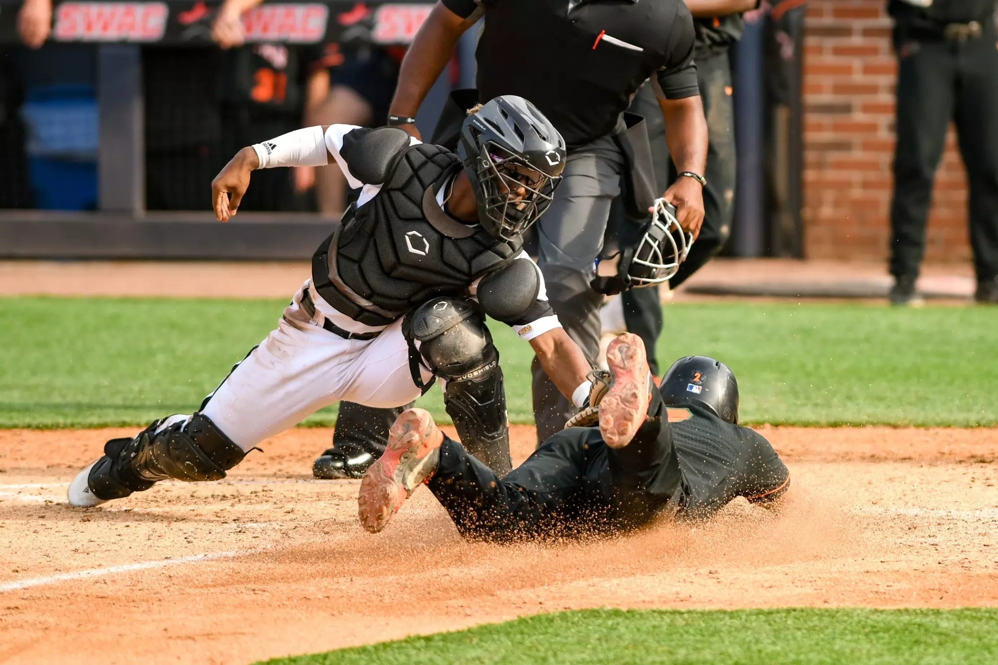 Announces Fall Baseball Schedule - Alabama State University Athletics announces-fall-baseball-schedule-alabama-state-university-athletics