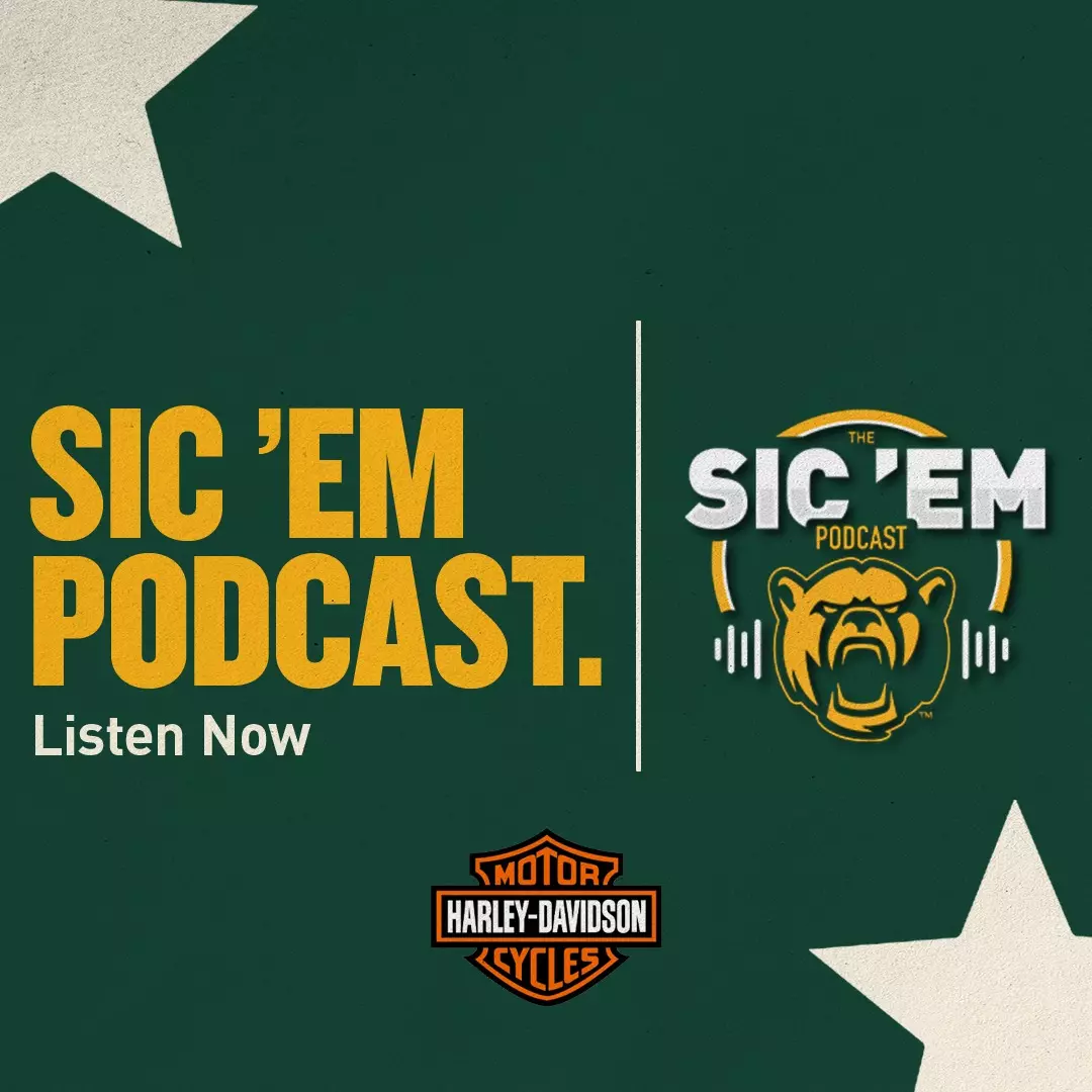 Podcast Image