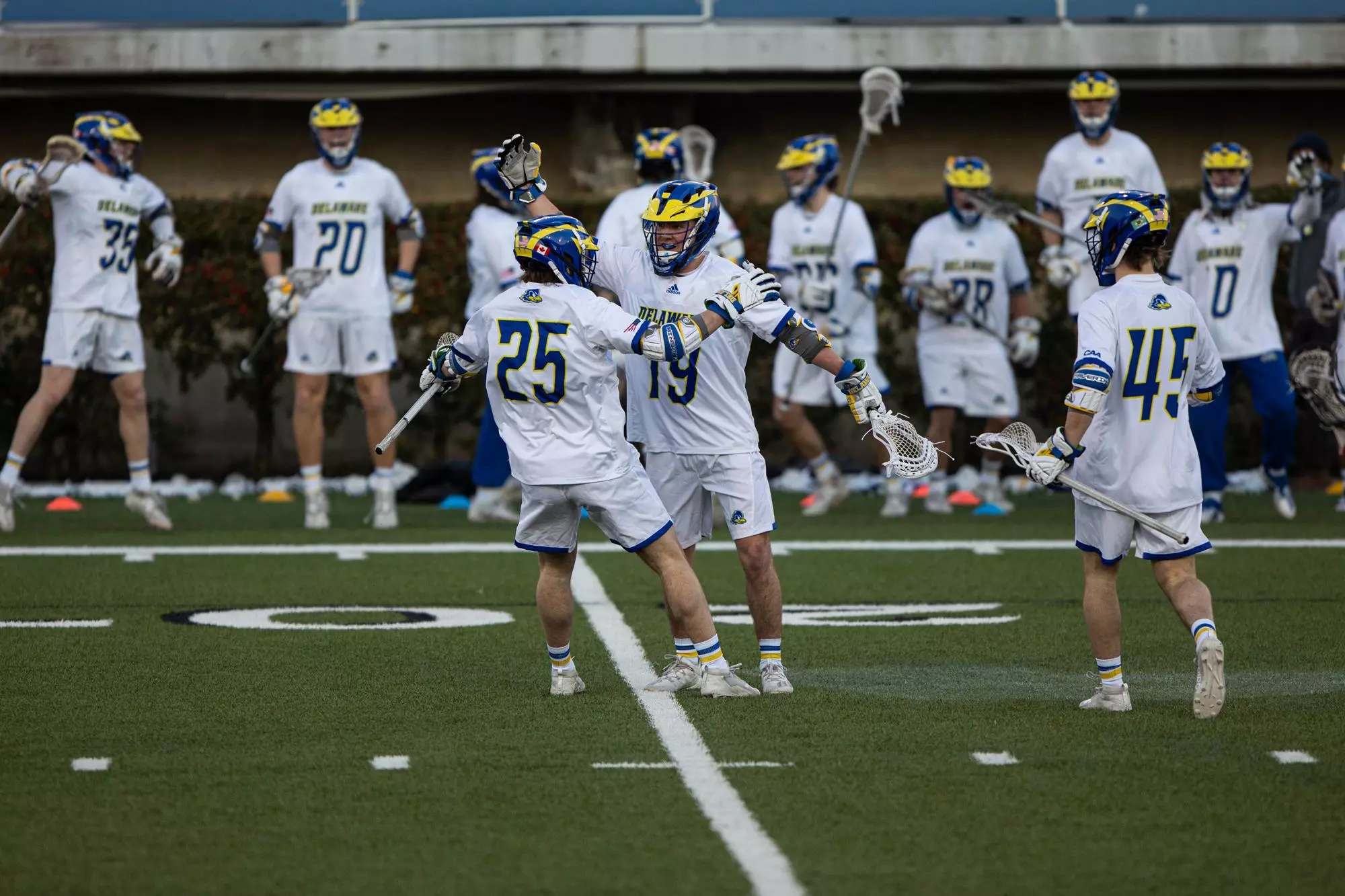 Matt Acchinone