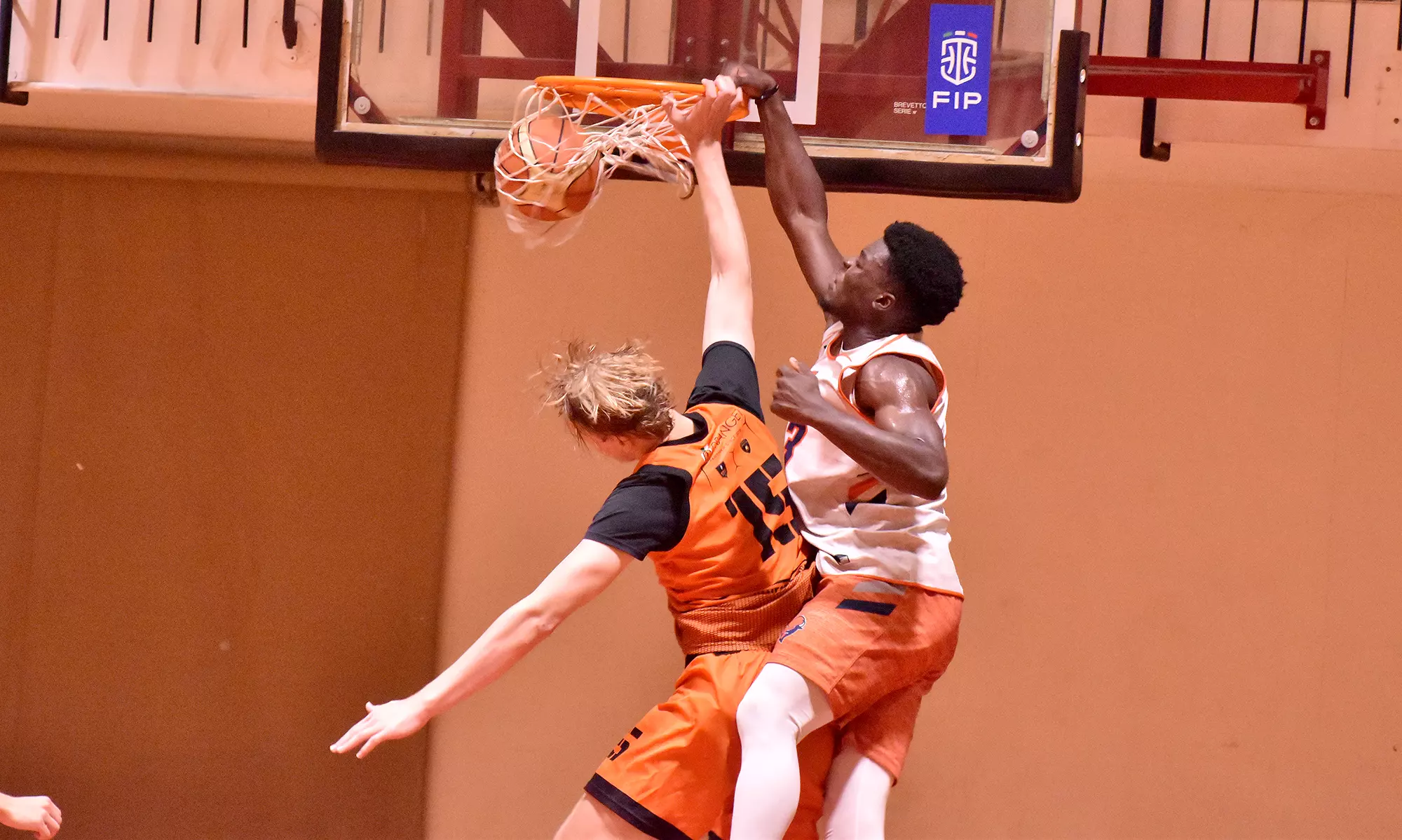 The Bison in Italy 2023