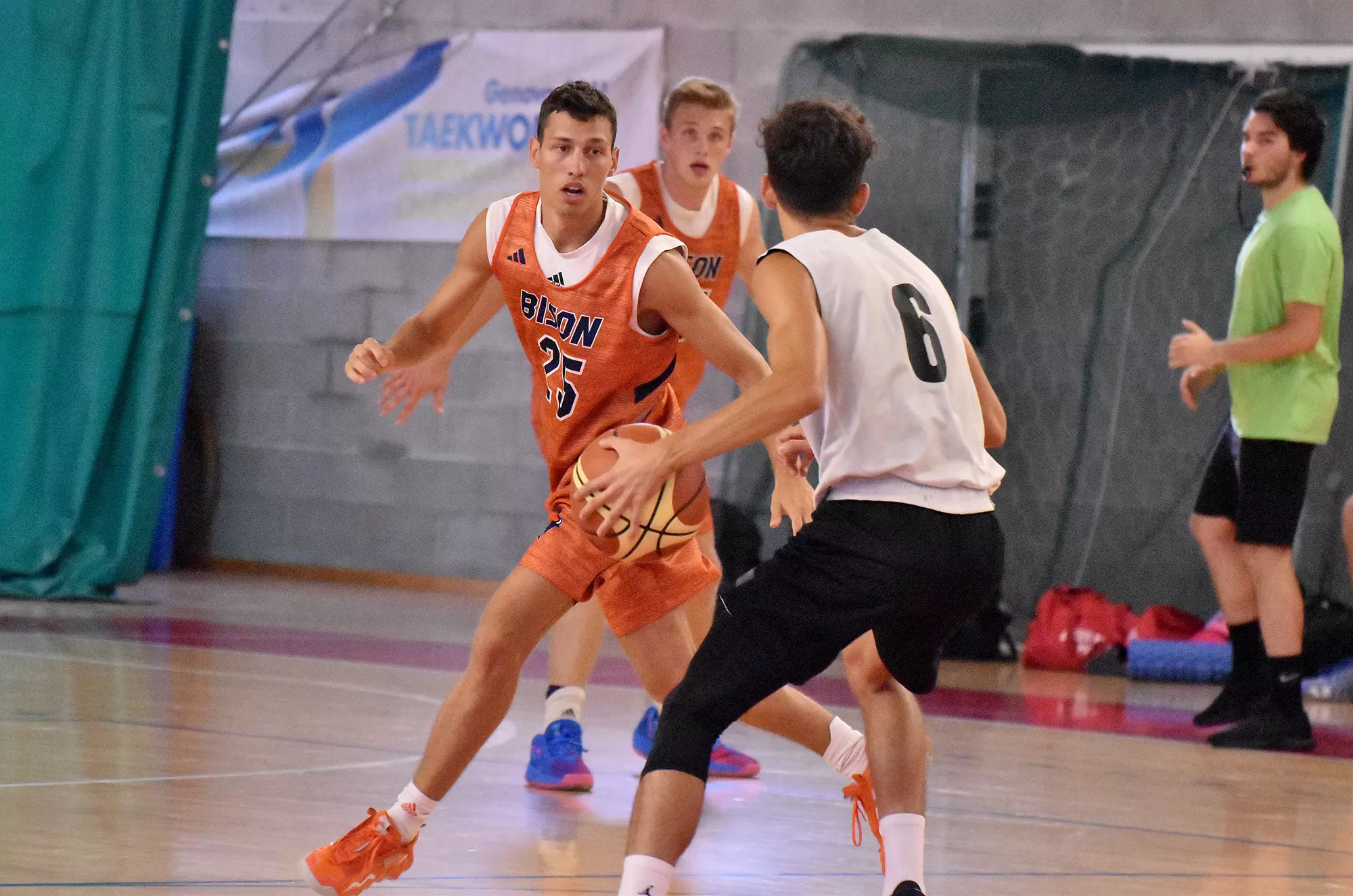 The Bison in Italy 2023