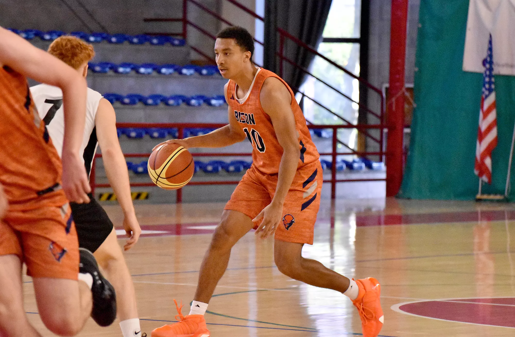 The Bison in Italy 2023