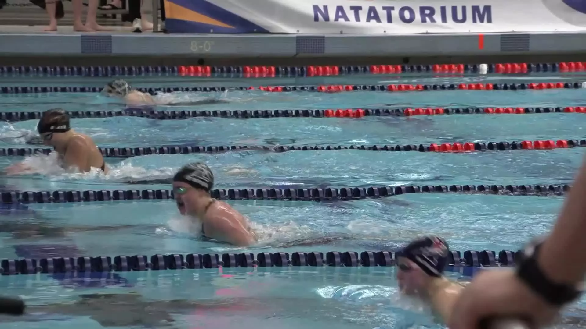 2026 ECAC Swimming and Diving Championship Final Day