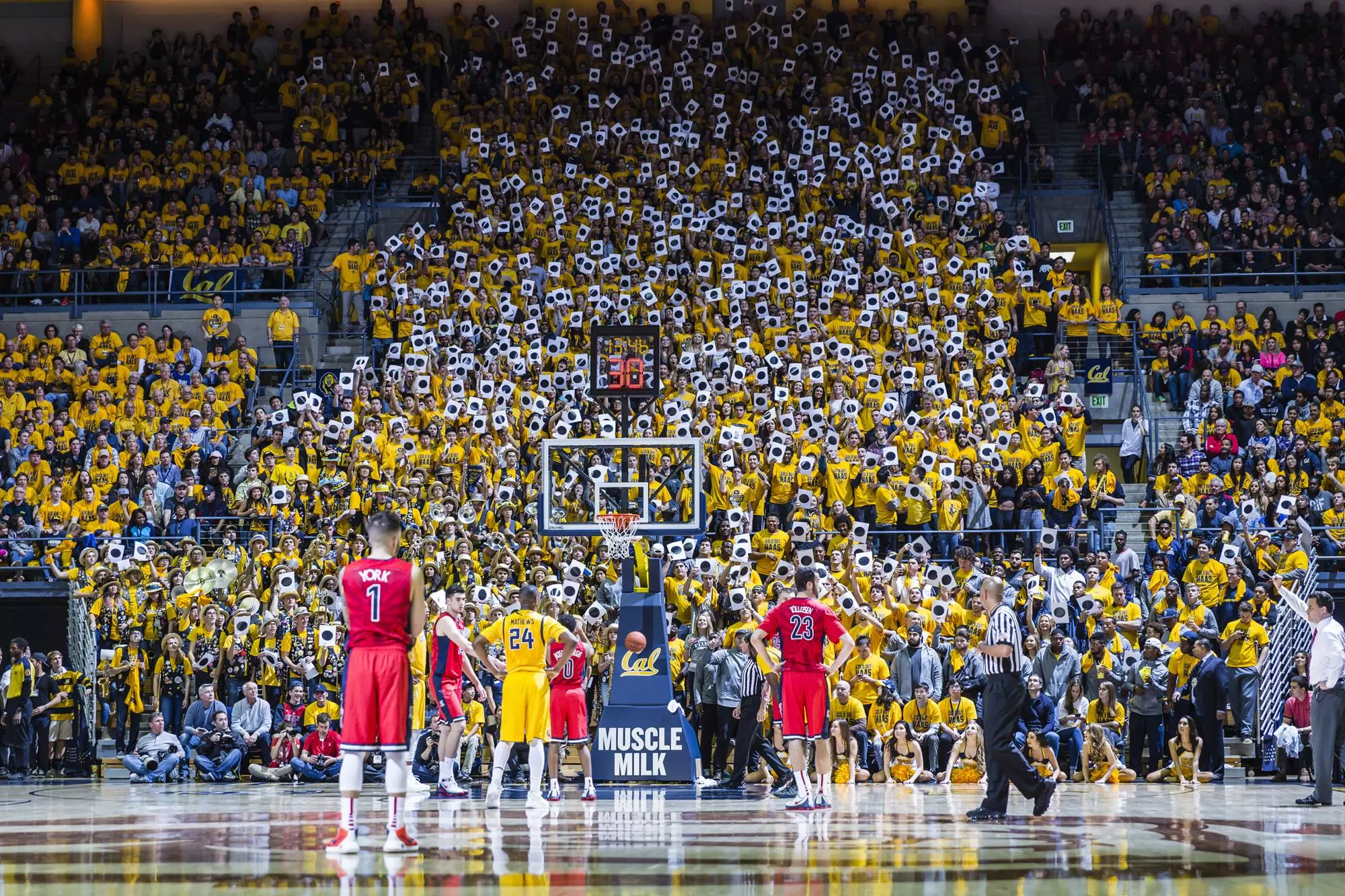Cal Facilities: Haas Pavilion - Basketball