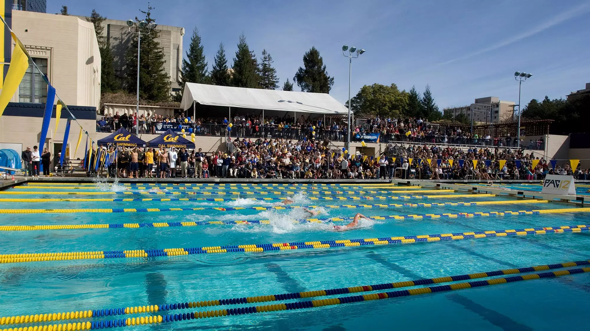 Cal Facilities: Spieker Aquatics Complex