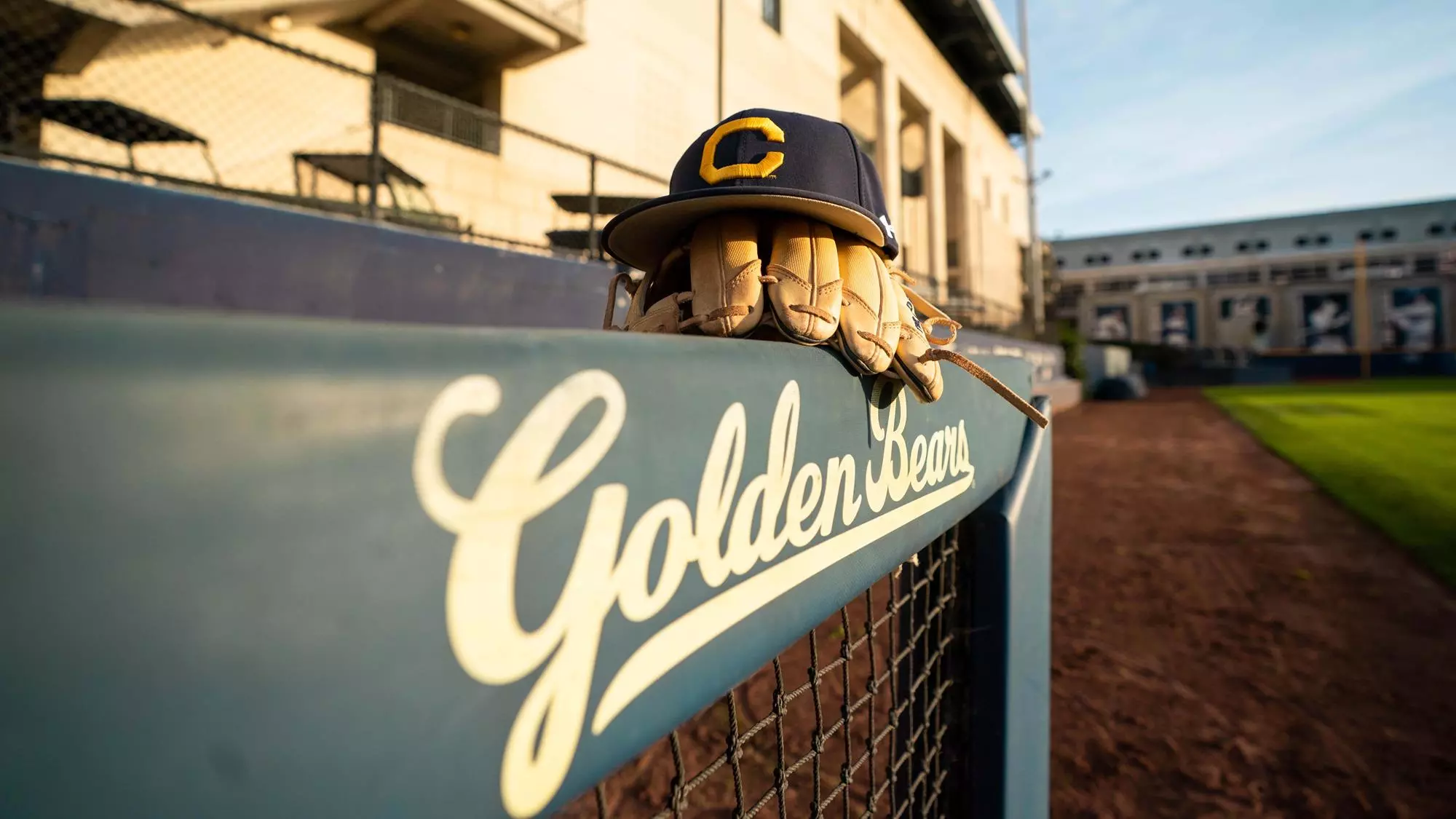 Cal Baseball