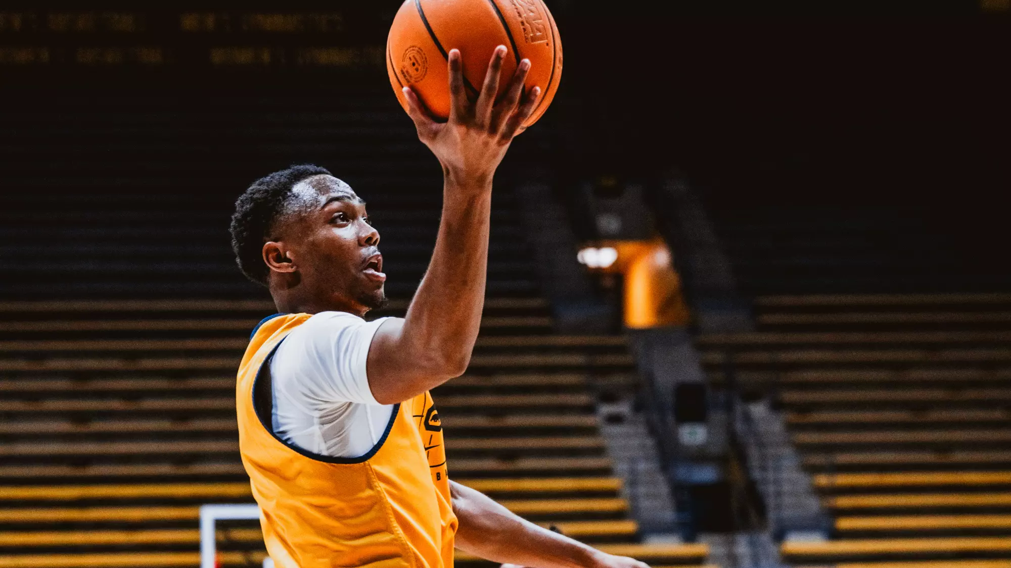 Stephon Marbury II - Men's Basketball - California Golden Bears Athletics