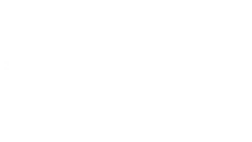Brady Plus Logo.