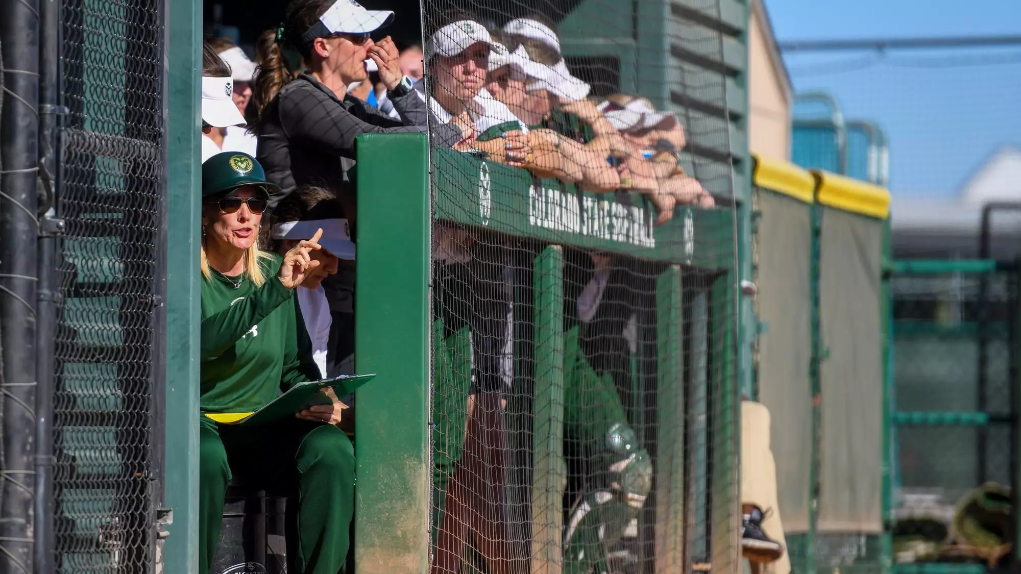 Dedeann Pendleton-Helm