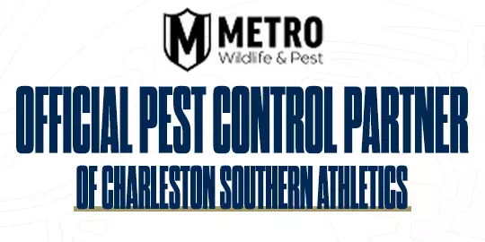 New Website Promo Ads