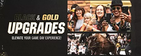 Black & Gold Upgrades