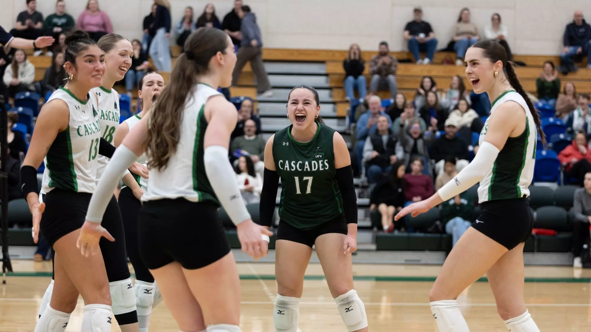 Preview: Cascades women’s volleyball hosts Griffins as best-of-three play-in series kicks off postseason