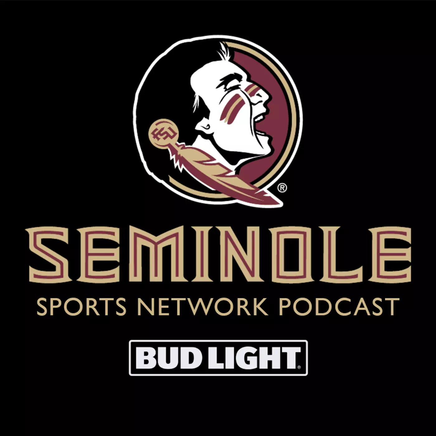 Podcast Image